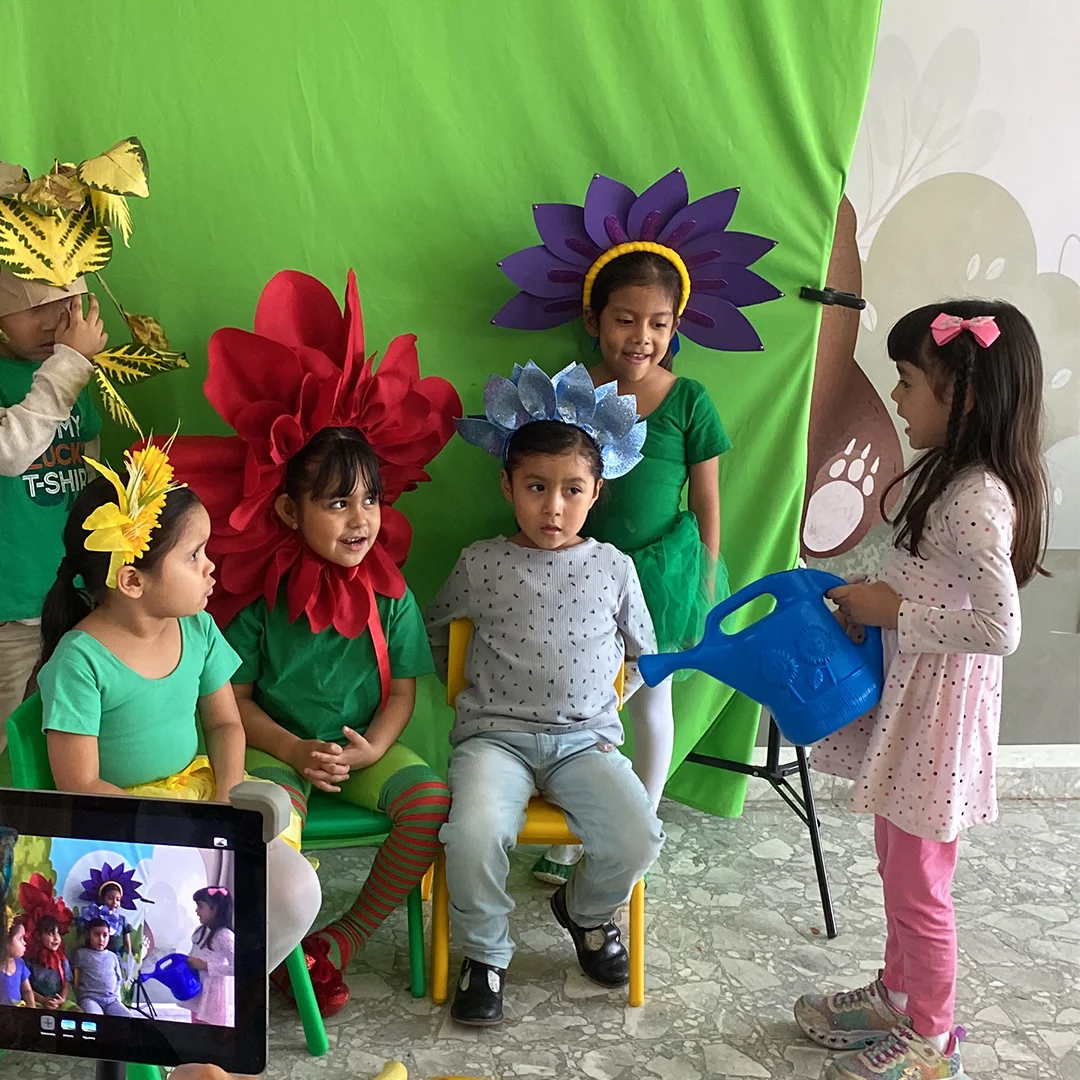 Pantalla verde — Flores